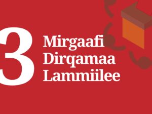 Boqonnaa Sadii: Mirgaafi Dirqamaa Lammiilee